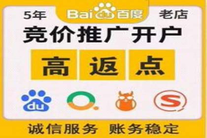 百度竞价赚钱攻略：实战案例分享